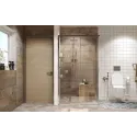 Душевое ограждение AMBASSADOR Queen 11011106L