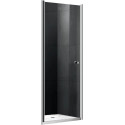 Душевая дверь в нишу Gemy New Rockcoco S03190C 100 см