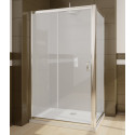 Душевой уголок Radaway Premium Plus DWJ+S 100x80 стекло фабрик