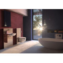 Унитаз подвесной Geberit AquaClean Mera Classic 146.204.21.1 глянцевый хром