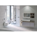 Унитаз подвесной Geberit AquaClean Mera Classic 146.204.21.1 глянцевый хром