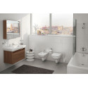 Унитаз подвесной VitrA S20 5507B003-0101