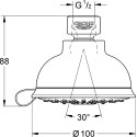 Верхний душ Grohe Tempesta Rustic 100 27610001 хром