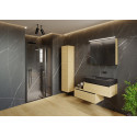 Душевая дверь в нишу Riho Lucid GD104 120 см, профиль черный