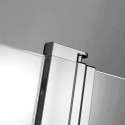 Душевая перегородка Radaway EOS II Walk-in 100x200 L