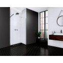Душевая перегородка Radaway Modo New Black II 70