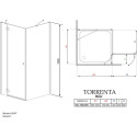 Душевой уголок Radaway Torrenta KDJ 100x80 прозрачное стекло L