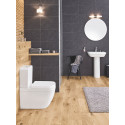 Комплект  Унитаз-компакт Grohe Euro Ceramic 39338000 + Гигиенический душ Grohe BauFlow 124900 со смесителем