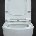 Унитаз подвесной Berges Wasserhaus Mascon Rimless 082128 с микролифтом