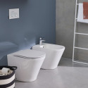 Унитаз приставной Jacob Delafon Rodin+ EDAA102-00 с крышкой