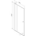 Душевая дверь в нишу AM.PM Inspire S W51G-E4D6-200-CT 100 см