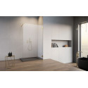 Душевая перегородка Radaway Essenza Pro 8 Gold Walk-in 160x200