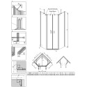 Душевой уголок Radaway Nes PTD 80x100