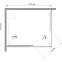 Душевой уголок Royal Bath HPD RB 1120 HPD-C 120x100