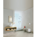 Кнопка смыва Grohe Skate Cosmopolitan 38732P00 хром матовый