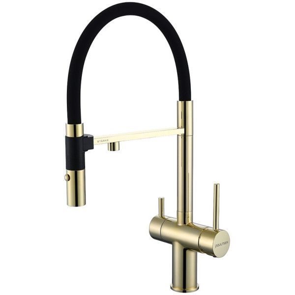 Смеситель Paulmark Magneto Ma213118-G для кухонной мойки, золото