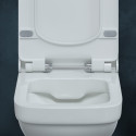 Унитаз подвесной Berges Wasserhaus Level 082119