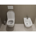 Унитаз подвесной Laufen Palomba 8.2080.2.000.000.1