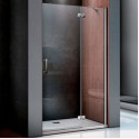 Душевая дверь в нишу Good Door Saturn WTW-120-C-CH-R