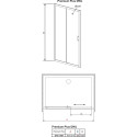 Душевая дверь в нишу Radaway Premium Plus DWJ 100 стекло фабрик