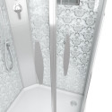 Душевая кабина Niagara Lux NG-7715WBK серебро