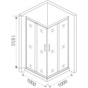 Душевой уголок Good Door Infinity CR-100-C-CH 100x100