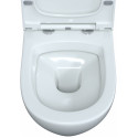 Унитаз подвесной Berges Wasserhaus Okus 082127 с микролифтом