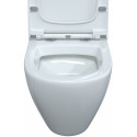 Унитаз подвесной Berges Wasserhaus Okus 082127 с микролифтом