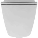 Унитаз подвесной Berges Wasserhaus Okus 082127 с микролифтом