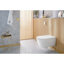 Унитаз подвесной Villeroy & Boch Viclean V0E100R1 альпийский белый, с функцией биде