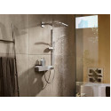 Верхний душ Hansgrohe Raindance E 26238000