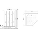 Душевая кабина Niagara Premium NG-6902-01D BLACK 100х100х220 черная
