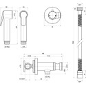 Гигиенический душ Bossini Paloma E37005B.094 со смесителем, С ВНУТРЕННЕЙ ЧАСТЬЮ, брашированный никель