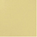 Мойка кухонная Alveus Form Monarch 30 золото