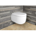 Унитаз подвесной Berges Wasserhaus Ego Rimless 082122 с микролифтом