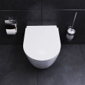 Унитаз подвесной Damixa Sirius DX86C1700SC с микролифтом