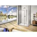 Душевая дверь в нишу Good Door Orion WTW-PD-100-C-CH