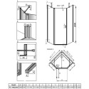 Душевой уголок Radaway Nes PTJ 100x90, L