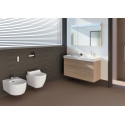 Унитаз подвесной Geberit AquaClean Tuma Comfort 146.294.SJ.1 вставка черное стекло