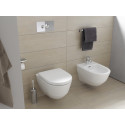Биде подвесное Laufen Pro 8.3095.2.400.302.1 с покрытием LCC