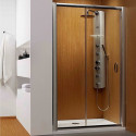 Душевая дверь в нишу Radaway Premium Plus DWJ 110 прозрачное стекло