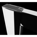 Душевая дверь в нишу Radaway Premium Plus DWJ 110 прозрачное стекло