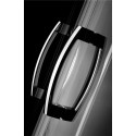 Душевая дверь в нишу Radaway Premium Plus DWJ 110 прозрачное стекло