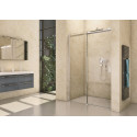 Душевая дверь в нишу Riho Baltic B104 118x210 см