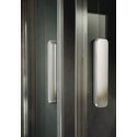 Душевая дверь в нишу Riho Baltic B104 118x210 см