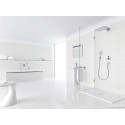 Душевая лейка Hansgrohe PuraVida 28557400