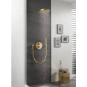 Душевой шланг Grohe Silverflex 28388DL0 175см, теплый закат