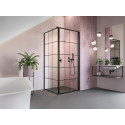 Душевой уголок Radaway Nes Black KDJ I Factory 100x80 R