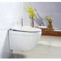 Унитаз подвесной BelBagno Cento-r BB509CH