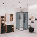 Душевая кабина Niagara Premium NG-6902-01GQ BLACK 100х100х210 черная